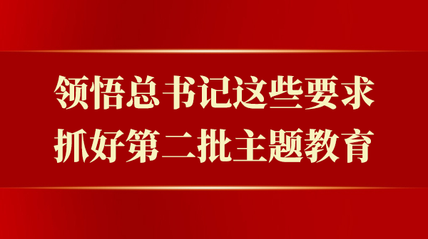 领悟总书记这些要求，抓好第二批主题教育